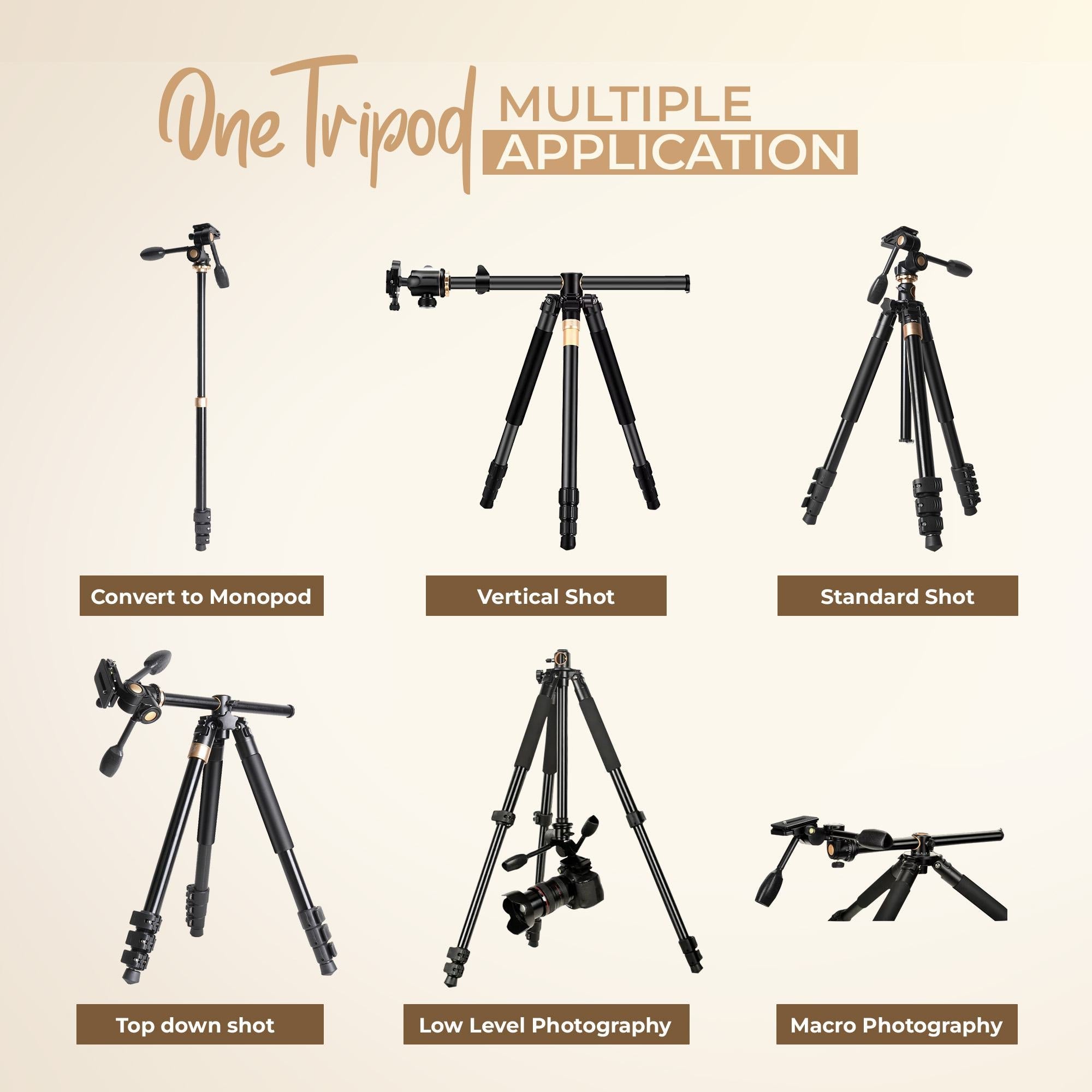 Digitek (DTR 620 BH) 6ft Multi-Angle DV Tripod cum Monopod